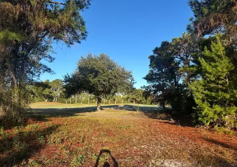 269 Royal Tern Way, Carrabelle, FL 32322 photo 2