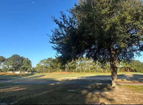 269 Royal Tern Way, Carrabelle, FL 32322 photo 4