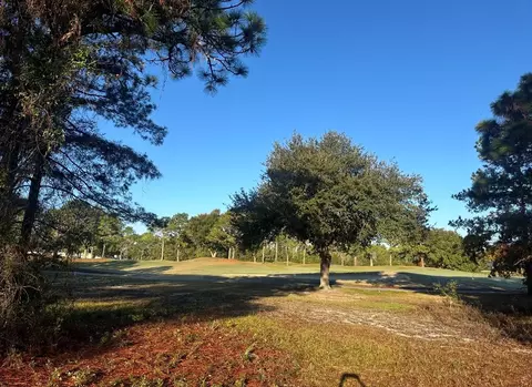 269 Royal Tern Way, Carrabelle, FL 32322 photo 3