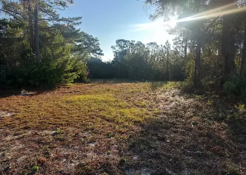 269 Royal Tern Way, Carrabelle, FL 32322 photo 5