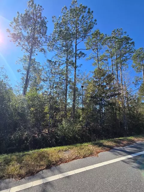 lot31 Doc Whitfield Rd, Wewahitchka, FL 32465