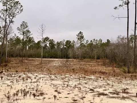 tbd E Creekview Dr, Wewahitchka, FL 32465