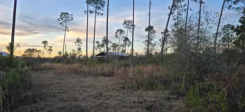 9641 Cr 386 N, Wewahitchka, FL 32465