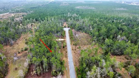 lot9 Jazzy Ln, Wewahitchka, FL 32465