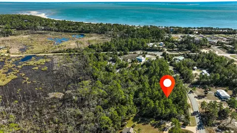 151 Pinnacle St, Carrabelle, FL 32322 photo 7