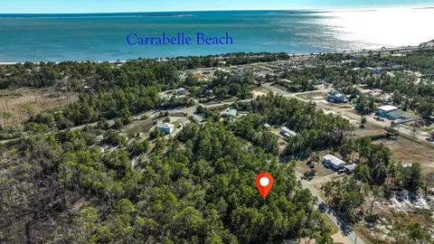 151 Pinnacle St, Carrabelle, FL 32322 photo 6