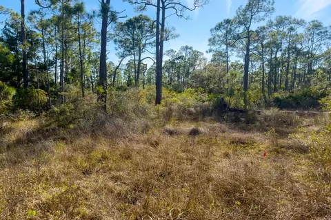 1279 Avocet Ln, Saint George Island, FL 32328