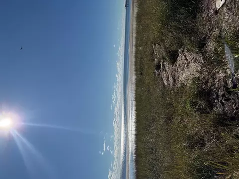3202 Hwy 98 E, Lanark Village, FL 32323 photo 12