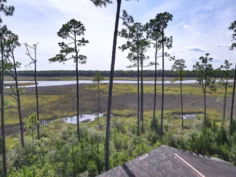 341 Jay Jay Way, Carrabelle, FL 32322 photo 15