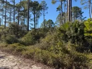 3441 Firefly Cir, Carrabelle, FL 32358
