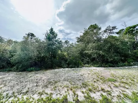 158 Singleleaf Rd, Eastpoint, FL 32328 photo 2