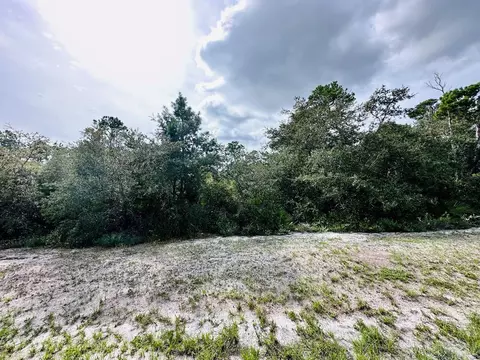 158 Singleleaf Rd, Eastpoint, FL 32328 photo 4