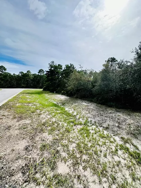 158 Singleleaf Rd, Eastpoint, FL 32328 photo 5