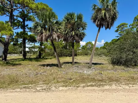 989 W Bay Shore Dr, Saint George Island, FL 32328