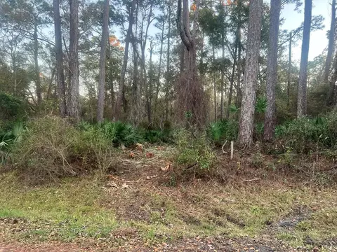 34 Gibson Rd, Apalachicola, FL 32320