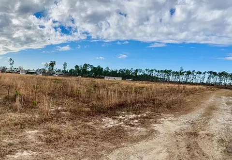 lot6 Margies Ln, Wewahitchka, FL 32465