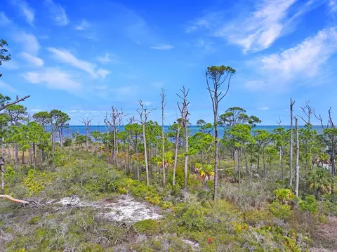 Parcel B Cape San Blas Rd, Cape San Blas, FL 32456
