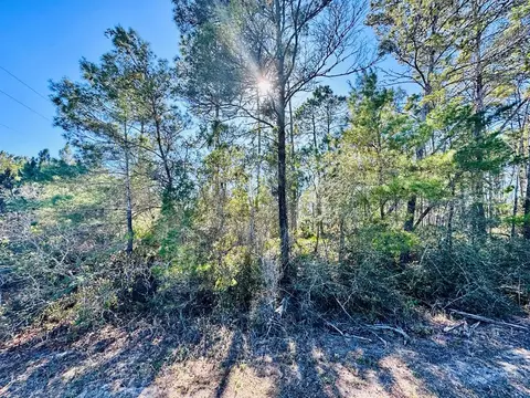 260 River Rd, Carrabelle, FL 32322 photo 5