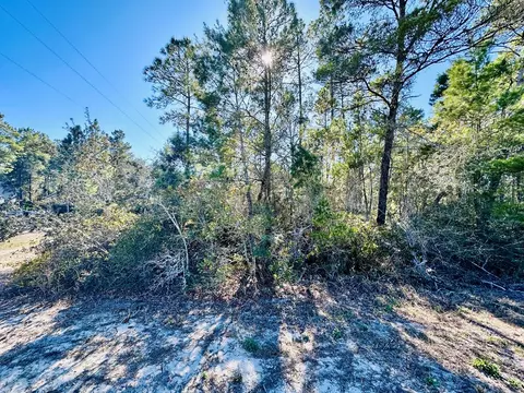 260 River Rd, Carrabelle, FL 32322 photo 2