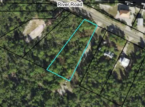260 River Rd, Carrabelle, FL 32322 photo 11