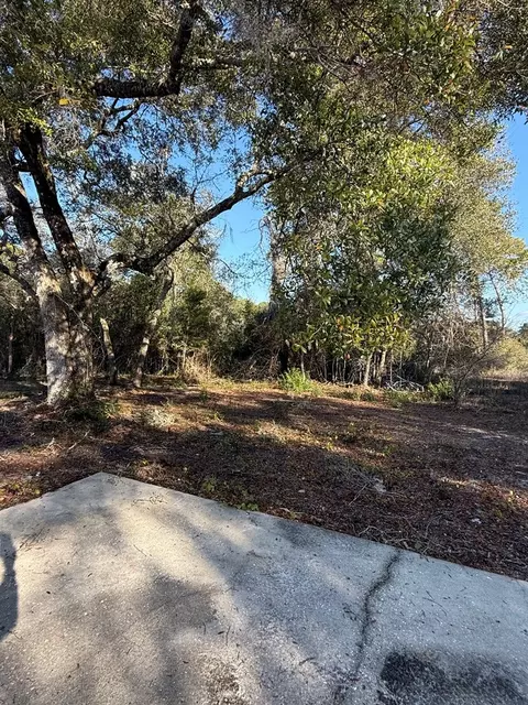110 SE 10th St, Carrabelle, FL 32322 photo 4