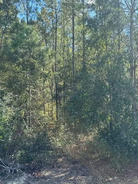 391 Jim Rish St, Wewahitchka, FL 32465