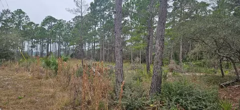 134 Timber Ln, Carrabelle, FL 32322 photo 4