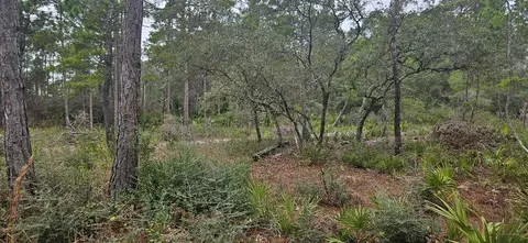134 Timber Ln, Carrabelle, FL 32322 photo 3