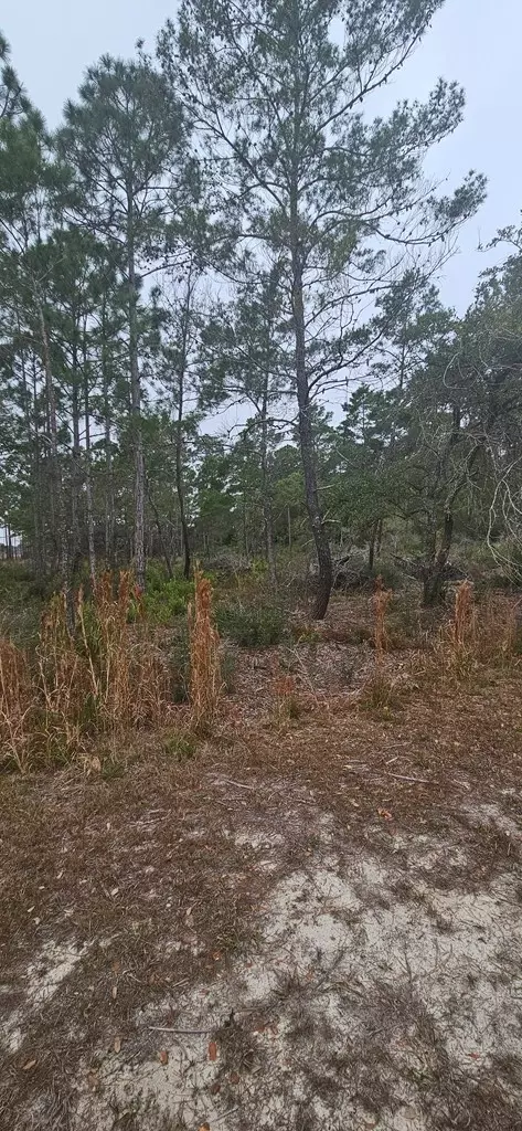 134 Timber Ln, Carrabelle, FL 32322 photo 7