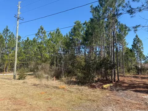 916 NE 5th St, Carrabelle, FL 32322 photo 3
