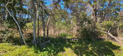 2955 Hwy 98 E, Carrabelle, FL 32322 photo 3