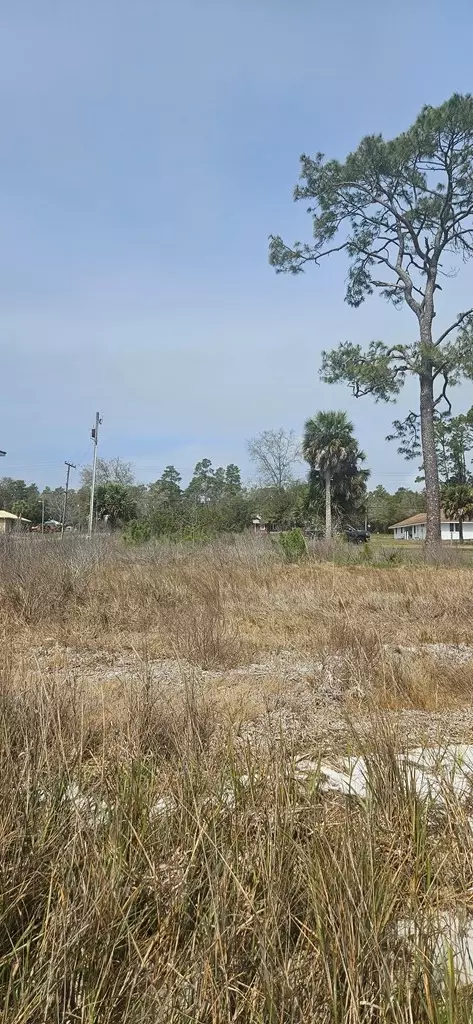 2298 Hwy 98 E, Carrabelle, FL 32322 photo 6