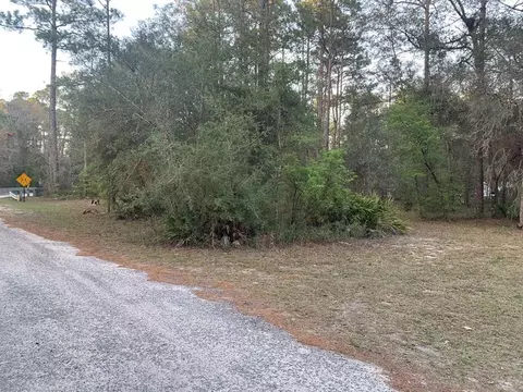 lot11 Buckhorn Creek Rd, Sopchoppy, FL 32358
