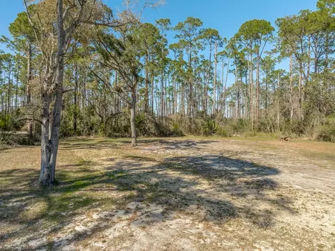 735 Wellborn Ave, Carrabelle, FL 32322 photo 16