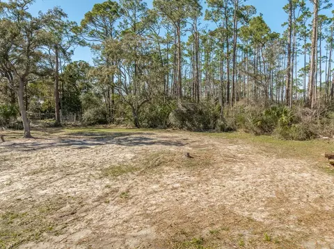 735 Wellborn Ave, Carrabelle, FL 32322 photo 15