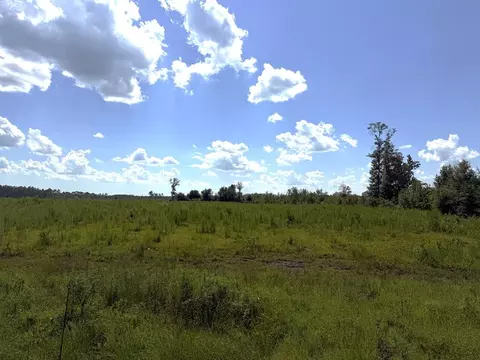 lot8 Hwy 71, Wewahitchka, FL 32465