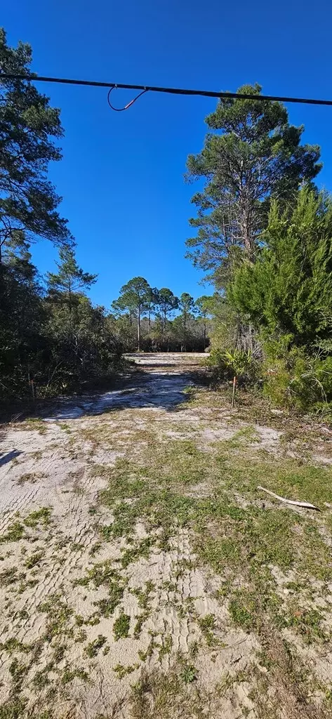 2003 Lighthouse Rd, Carrabelle, FL 32322 photo 4