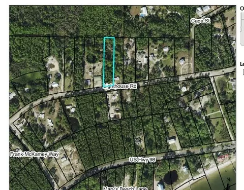 2003 Lighthouse Rd, Carrabelle, FL 32322 photo 9