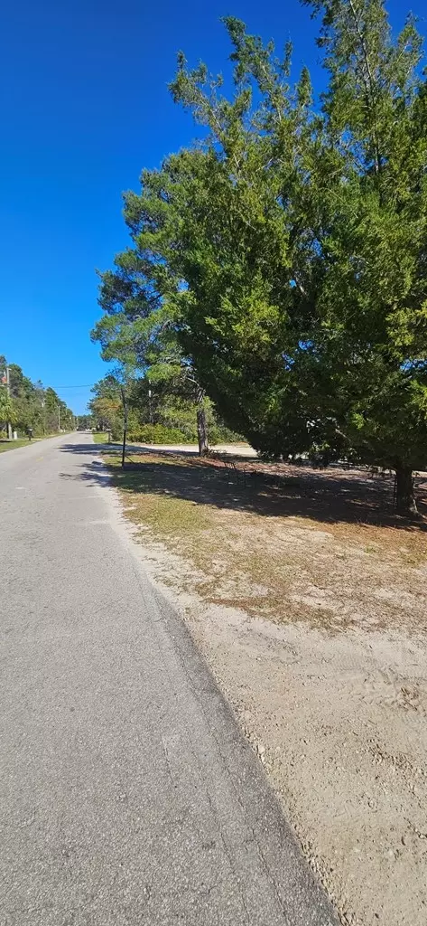 2003 Lighthouse Rd, Carrabelle, FL 32322 photo 8