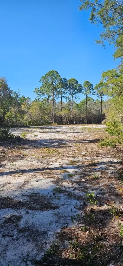 2003 Lighthouse Rd, Carrabelle, FL 32322 photo 2