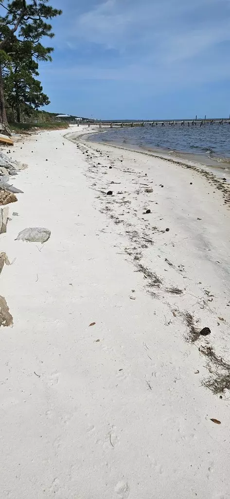 View/Area - 2248 Hwy 98 E, Carrabelle, FL 32322 photo 3 of 4