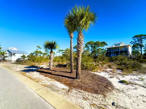 302 Windmark Way, Port St. Joe, FL 32456 photo 4