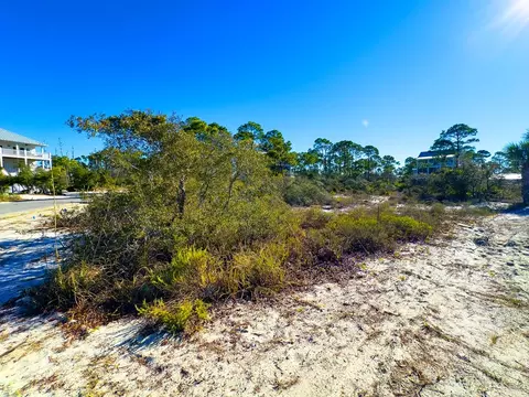 302 Windmark Way, Port St. Joe, FL 32456 photo 5