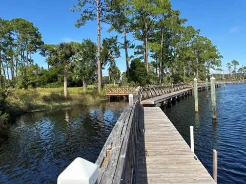 View/Area - 513 Shellys Loop Rd, Carrabelle, FL 32322 photo 3 of 14
