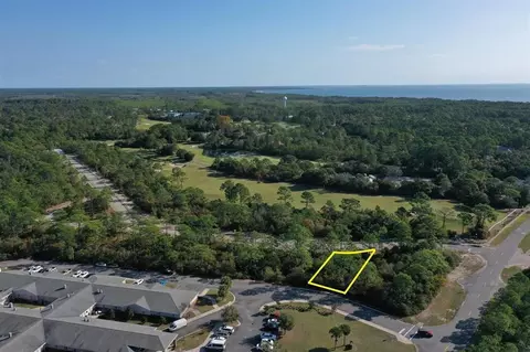 109 Anhinga Trl, Carrabelle, FL 32323 photo 2