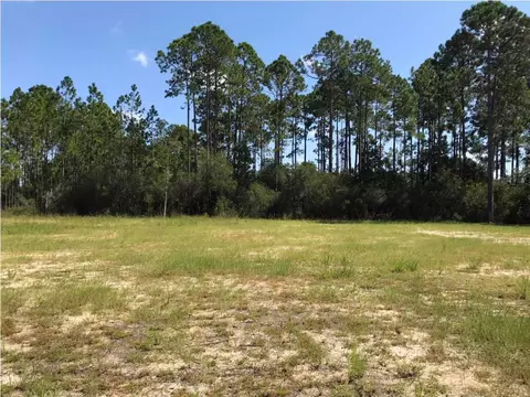 124 Pine St, Mexico Beach, FL 32456 photo 3