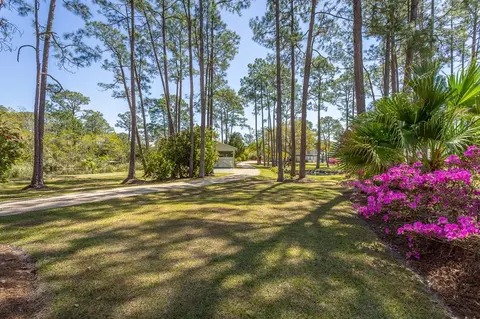 Exterior - 433 River Rd, Carrabelle, FL 32322 photo 21 of 22