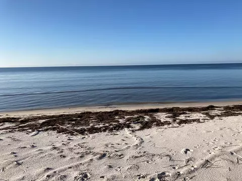 View/Area - 3092 Hwy 98 E, Carrabelle, FL 32322 photo 3 of 6