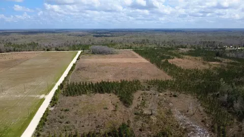 40 Davis Peacock Rd, Kinard, FL 32449 photo 19