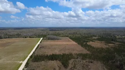 40 Davis Peacock Rd, Kinard, FL 32449 photo 18